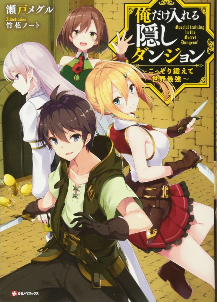Ore Dake Haireru Novela Ligera, portada oficial.
